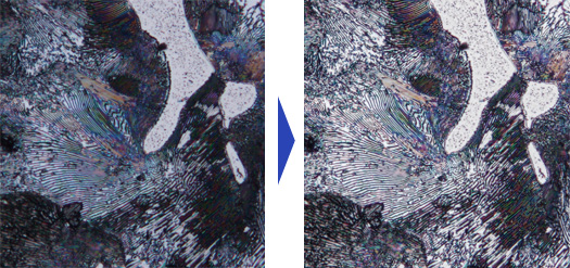 無論是暗視場影像還是DIC影像,“HDR”都可以一鍵完成清晰觀察。